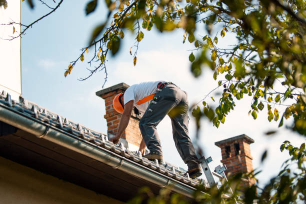Best Commercial Roofing Services  in Toledo, OH